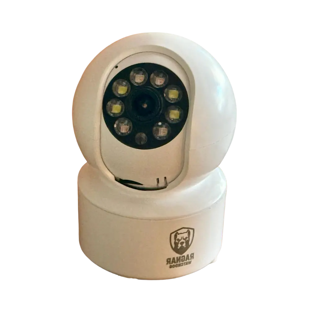 Ragnar Guardian Mini